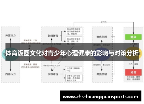 体育饭圈文化对青少年心理健康的影响与对策分析